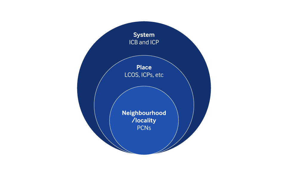 Graph showing locality of ICSs - ranging from neighbourhood (PCNs), to Place (LCOs, ICPs), to system (ICS,ICP)