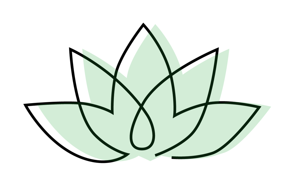 Lotus plant article illustration