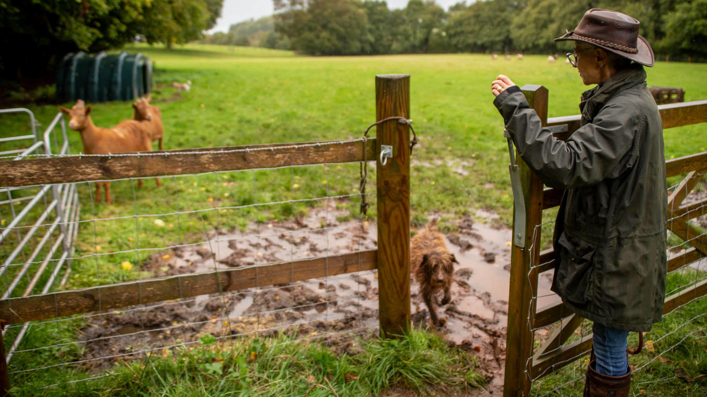 Debbie Cohen in wellies stands in a muddy field and holds a gate open for her dog