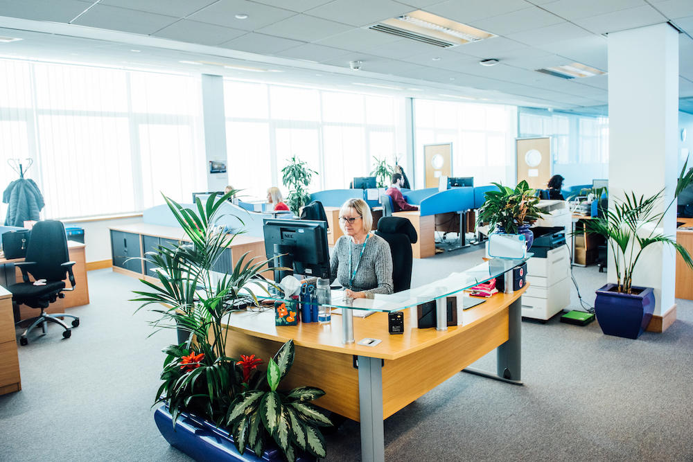 Staff working at their desks in the BMA Wales office