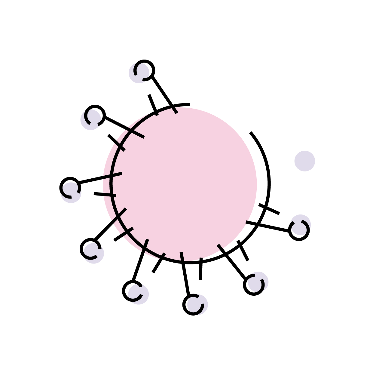 Infection Risk Assessment of COVID-19 through Aerosol Transmission