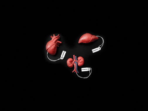 organs
