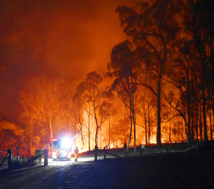 forest fire 42256