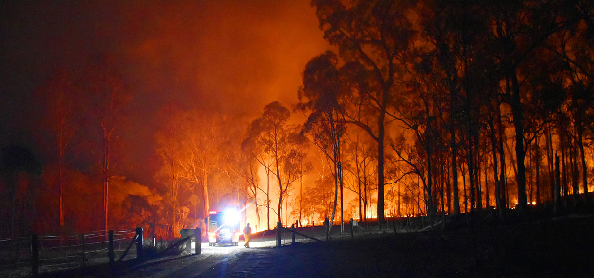 forest fire 42256
