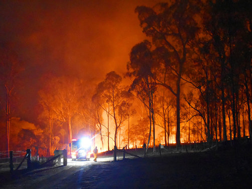 Australia forest fire 42256