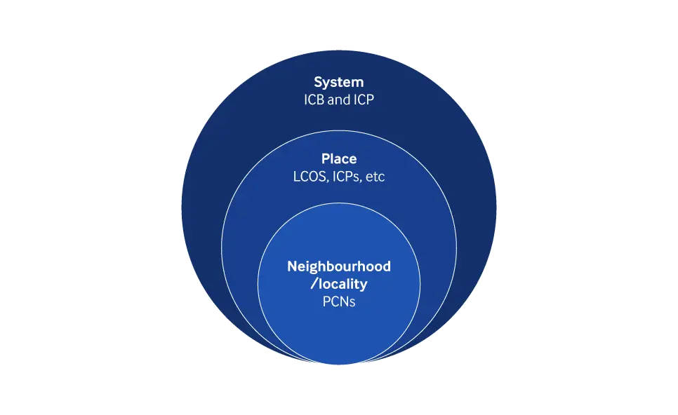 Graph showing locality of ICSs - ranging from neighbourhood (PCNs), to Place (LCOs, ICPs), to system (ICS,ICP)
