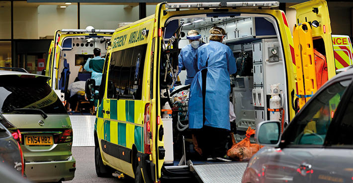 42625 guy's hospital 